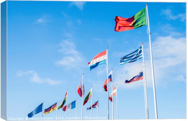 Flags Of European Union Countries Canvas Print by Martyn Williams