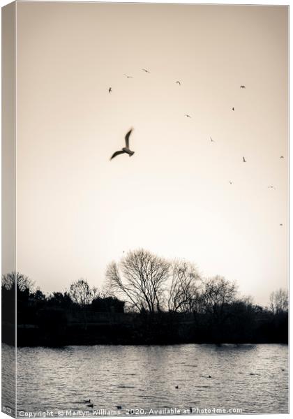 Evening Birds, River Trent Canvas Print by Martyn Williams