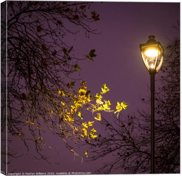 Autumn Trees At Night Canvas Print by Martyn Williams