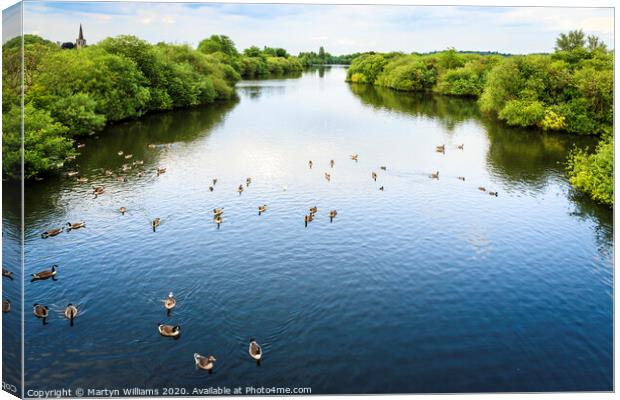 Attenborough Nature Reserve Canvas Print by Martyn Williams