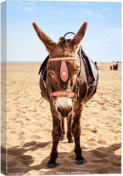 Donkey On The Beach Canvas Print by Martyn Williams
