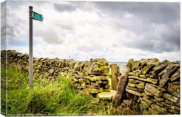 A Derbyshire Countryside Path Canvas Print by Martyn Williams