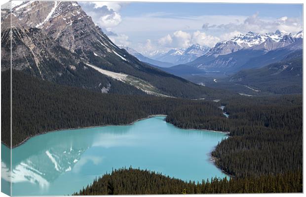 Peyto Lake 2013 Canvas Print by jordan whipps