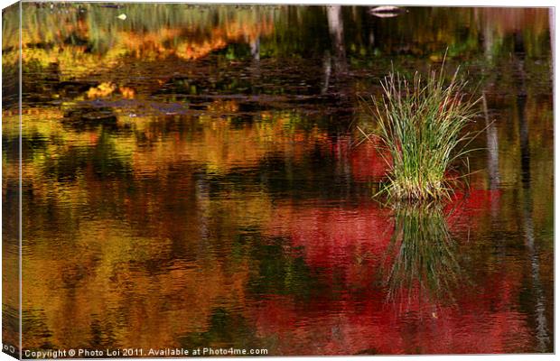 Harriman Lake Canvas Print by Photo Loi