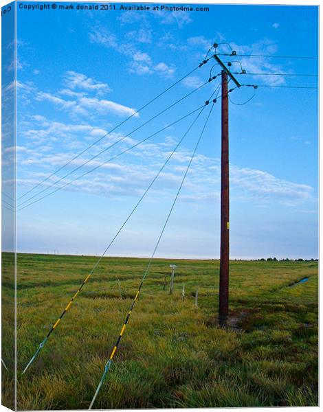 Lonely power line on beautiful island Canvas Print by mark donald