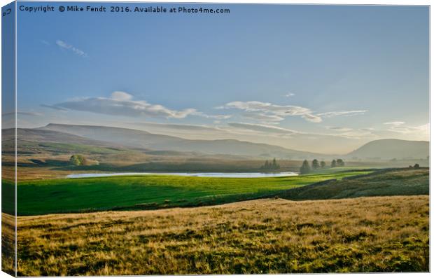 Oasis in a lost field  Canvas Print by Mike Fendt