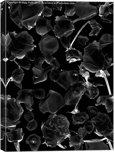 Infrared Flowers #5 Canvas Print by Mary Rath