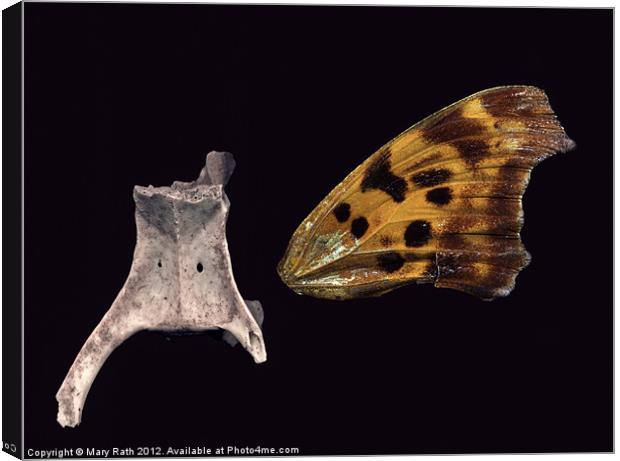 Backbone and Butterfly Wing Canvas Print by Mary Rath