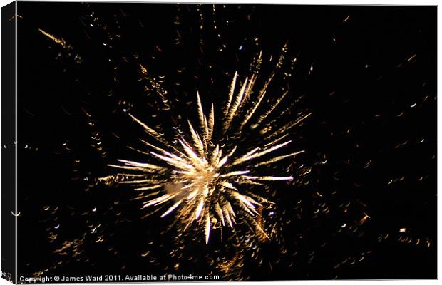 Firework Canvas Print by James Ward