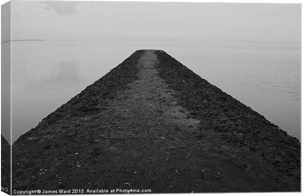 Whitstable Groyne Canvas Print by James Ward