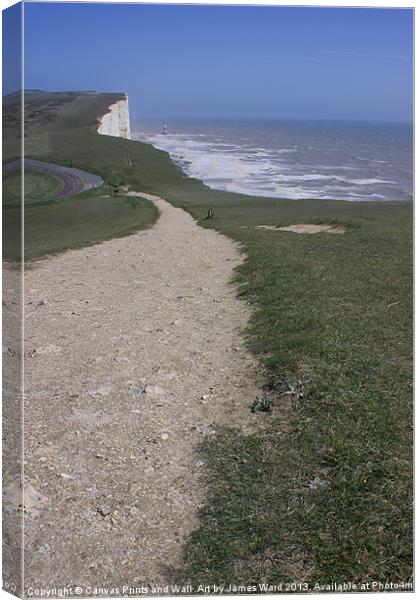 Beachy Head in spring Canvas Print by James Ward