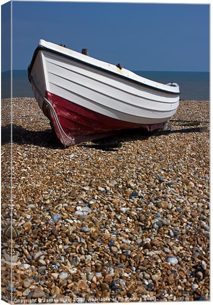 Waiting to Launch Canvas Print by James Ward