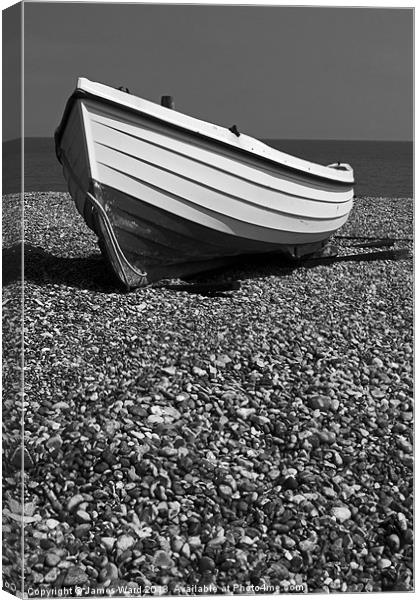 Waiting to Launch Canvas Print by James Ward