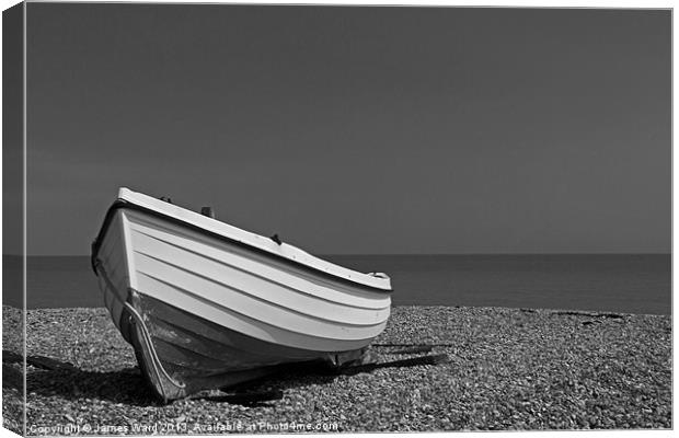 Waiting to Launch 2 Canvas Print by James Ward