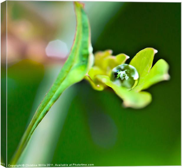 Leaf Within a Leaf Within a Leaf Canvas Print by Christine Johnson