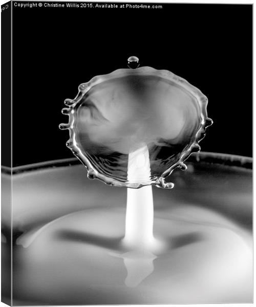  Balanced Waterdrop Canvas Print by Christine Johnson