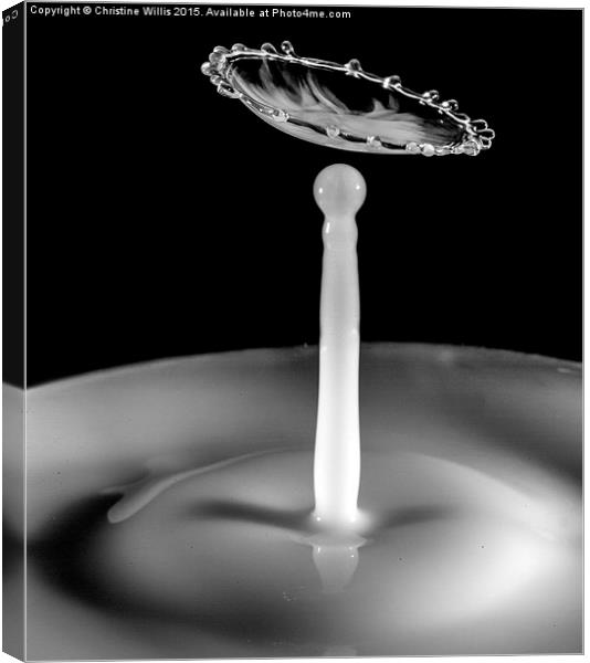 Black and White Waterdrop Collision Canvas Print by Christine Johnson
