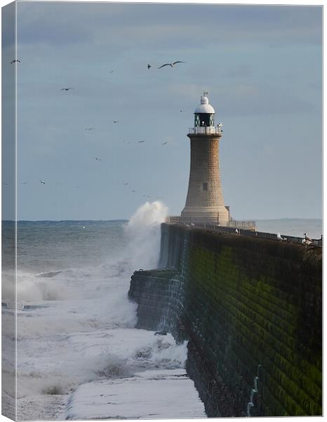 Tynemouth Pier and Lighthouse Canvas Print by John Ellis