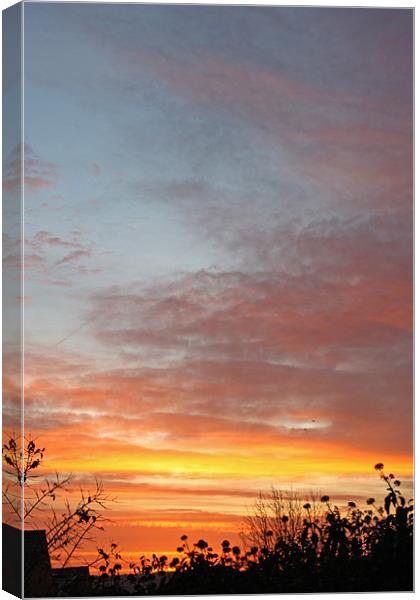 Sunrise and Silhouettes Canvas Print by Ashley Ridpath