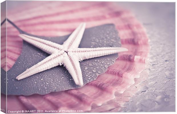 Starfish Canvas Print by