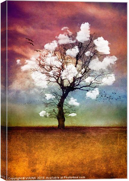 ATMOSPHERIC TREE - PICK ME A CLOUD Canvas Print by