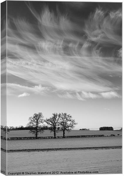 Winter Skies Canvas Print by Stephen Wakefield