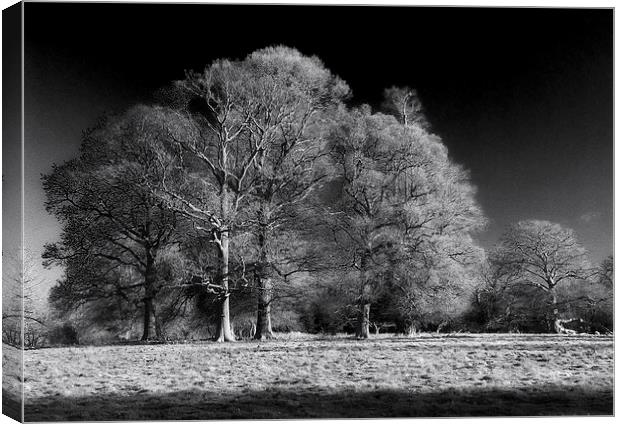 Moulton Grange in Infra Red Canvas Print by Stephen Wakefield