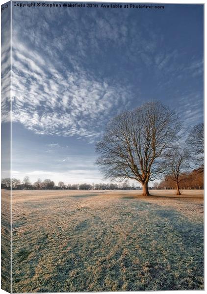  Frosty Winter Morning Canvas Print by Stephen Wakefield