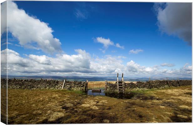 Countryside Style Canvas Print by Aran Smithson