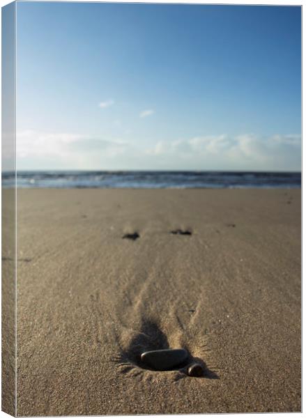 Pebbles on the beach Canvas Print by Aran Smithson