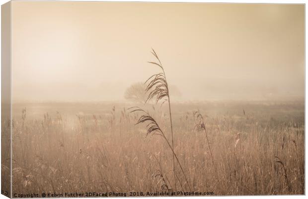 Misty Morning Marshes Canvas Print by Kelvin Futcher 2D Photography