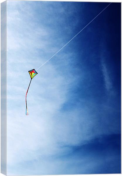 Flying High Canvas Print by Kieran Brimson