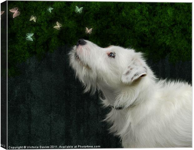 Jack Russell and Butterflies Canvas Print by Victoria Davies