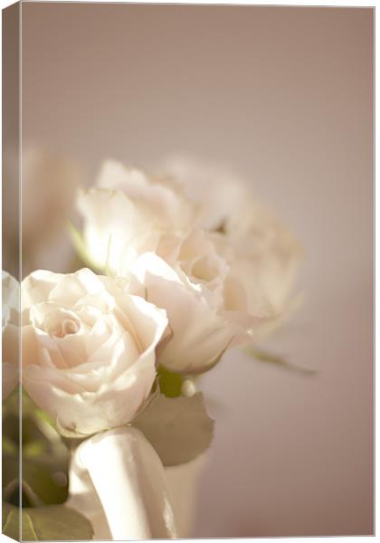 Pale Roses Canvas Print by Victoria Davies