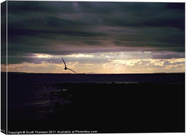 Sunset Seagull Silhouettte Canvas Print by Scott Thomson