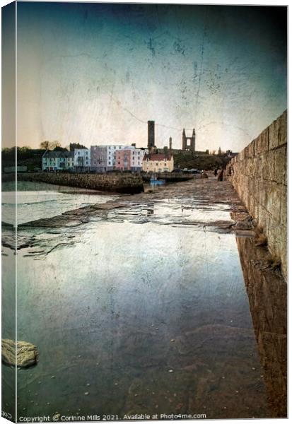 St Andrews Harbour Canvas Print by Corinne Mills