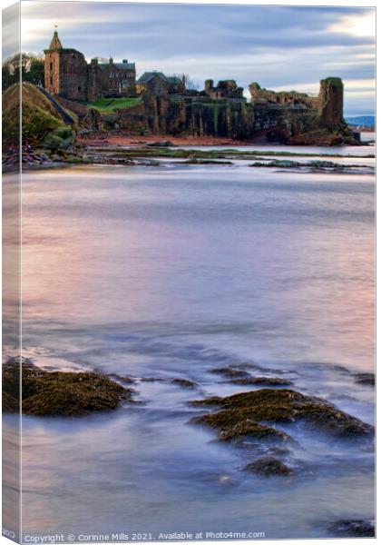 St Andrews Castle from the harbour Canvas Print by Corinne Mills