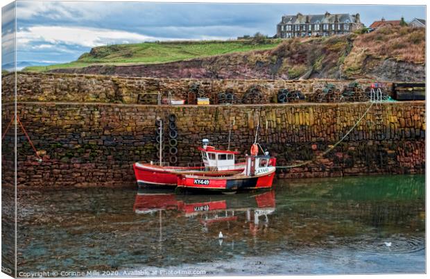 KYLIE S - KY 449 at Crail Harbour Canvas Print by Corinne Mills