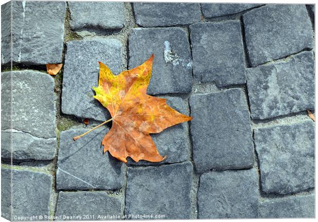 Early Autumn Canvas Print by Russell Deaney