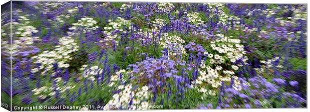 Summer Perennial Blooms Canvas Print by Russell Deaney