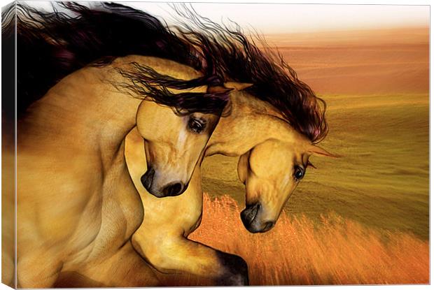 The Buckskins Canvas Print by Valerie Anne Kelly