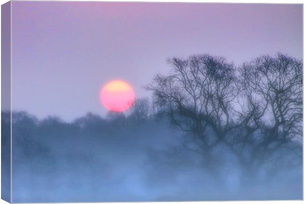 Sunrise in the mist Canvas Print by Valerie Anne Kelly