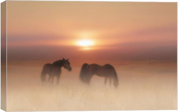 Horses in a misty dawn Canvas Print by Valerie Anne Kelly