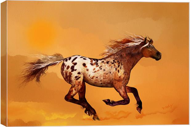 An Appaloosa called Ginger Canvas Print by Valerie Anne Kelly