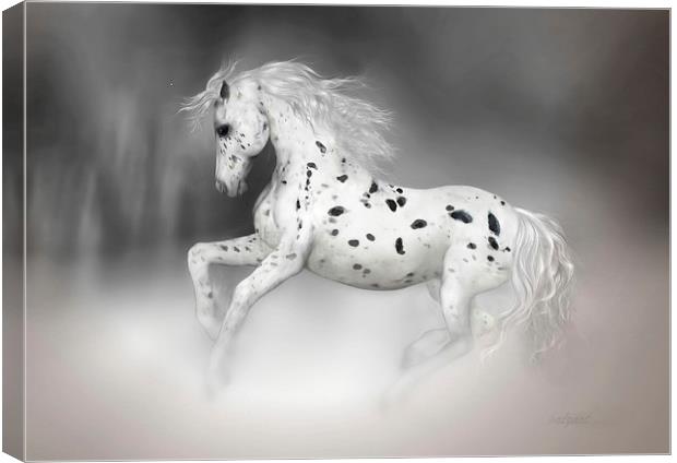 The Appaloosa Canvas Print by Valerie Anne Kelly