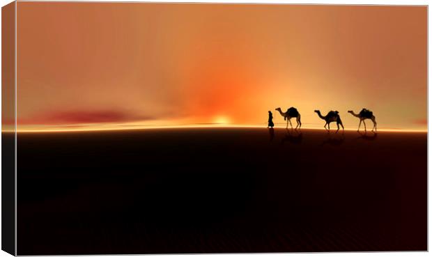 Desert mirage Canvas Print by Valerie Anne Kelly