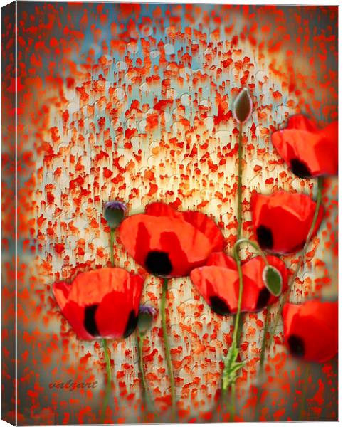 Flanders fields Canvas Print by Valerie Anne Kelly