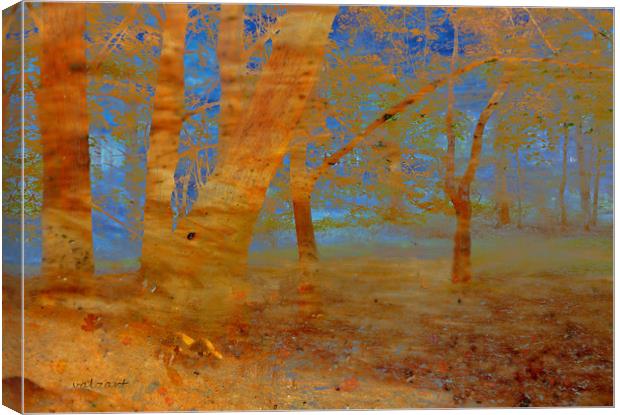 The Beech Wood Canvas Print by Valerie Anne Kelly