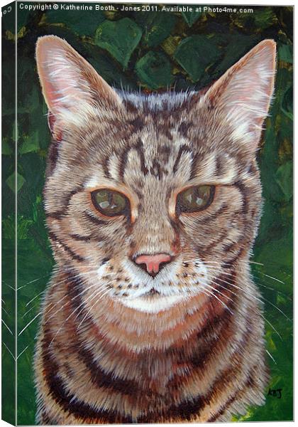 Tabby Cat Canvas Print by Katherine Booth - Jones