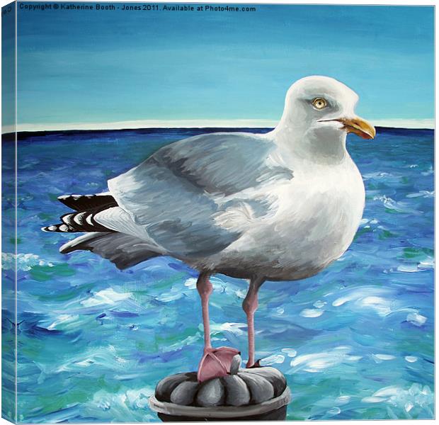 Herring Gull Canvas Print by Katherine Booth - Jones